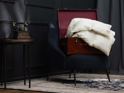 Одеяло German Grass EXCLUSIVE SILK EIDER DOWN теплое 220х240