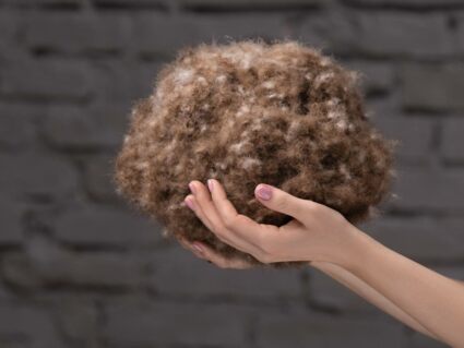 Одеяло German Grass EXCLUSIVE COTTON EIDER DOWN теплое 150х200