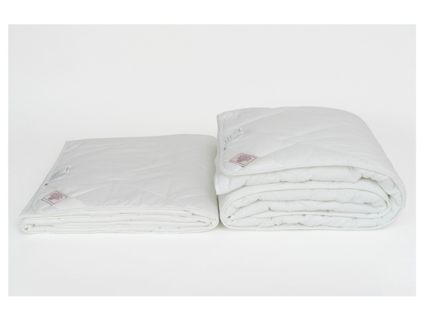 Одеяло German Grass Bamboo Familie Bio легкое 200х200