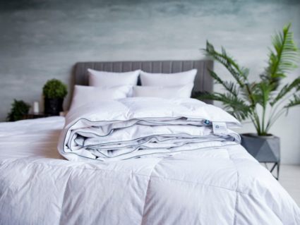 Одеяло German Grass Gray Familie Down всесезонное 155х200