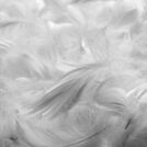Подушка Nature’S-Natura Sanat Для женщин 70х70